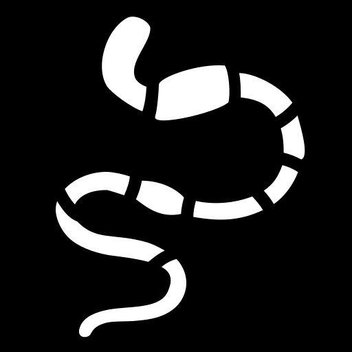 earth-worm icon