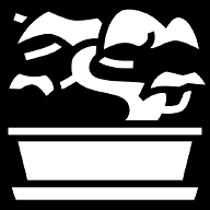 bonsai-tree icon