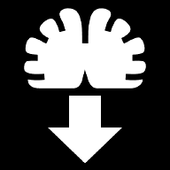 brain-dump icon