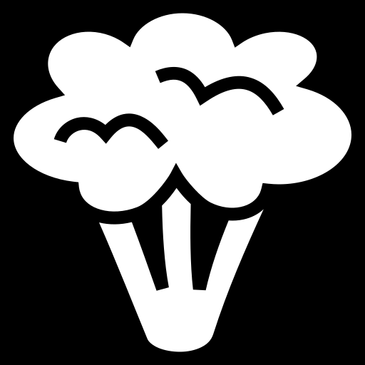 broccoli icon