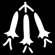 cantua icon
