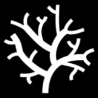 coral icon