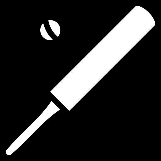 cricket-bat icon