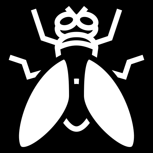 fly icon