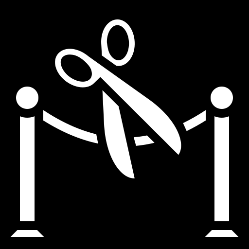 inauguration icon