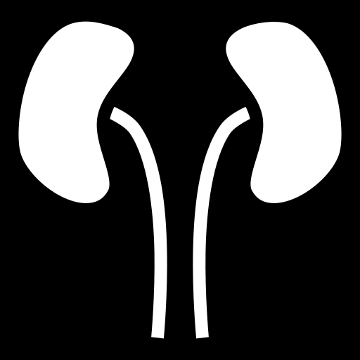 kidneys icon