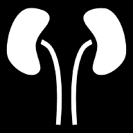 kidneys icon