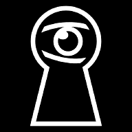 lock-spy icon