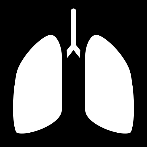 lungs icon