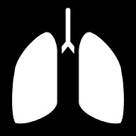 lungs icon