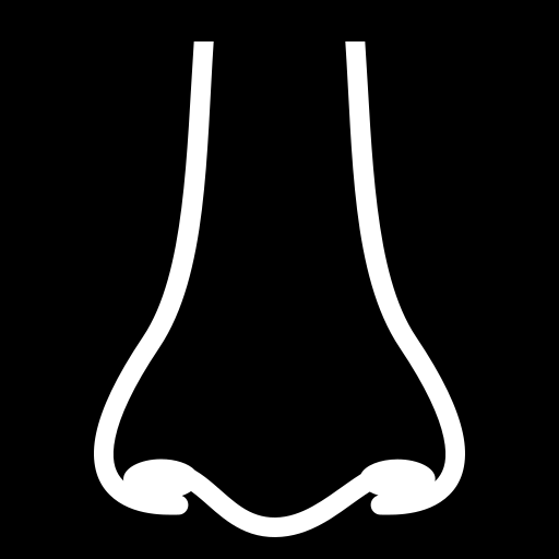 nose-front icon