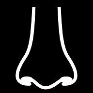 nose-front icon