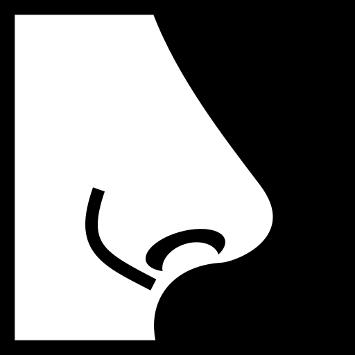 nose-side icon