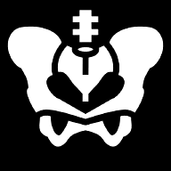 pelvis-bone icon