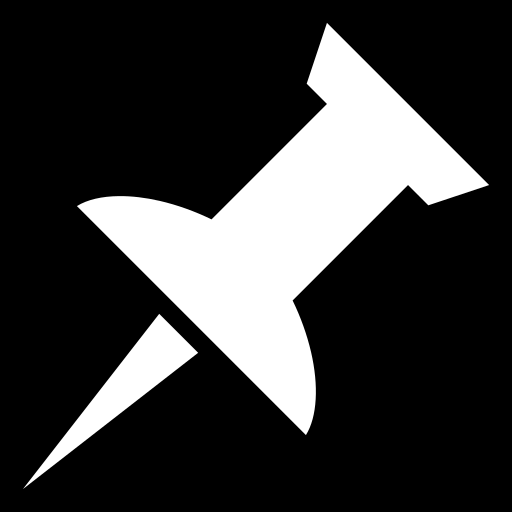 pin icon
