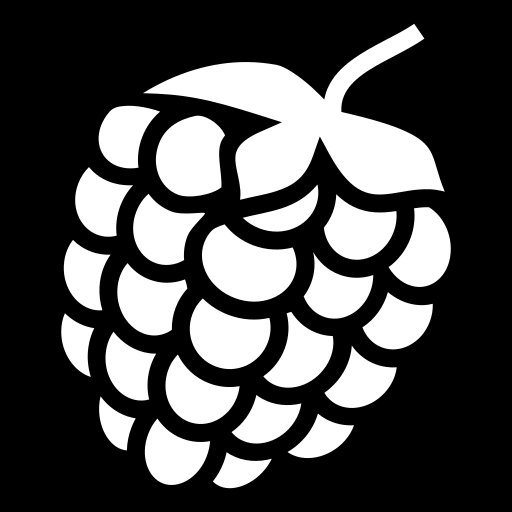 raspberry icon