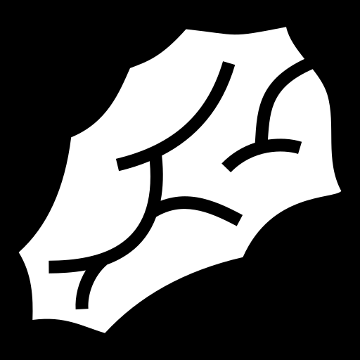 silex icon