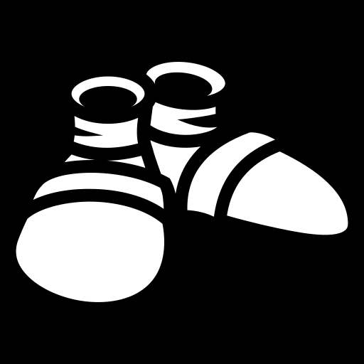 sonic-shoes icon