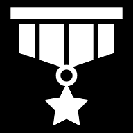 star-medal icon