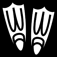 swimfins icon