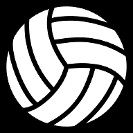 volleyball-ball icon