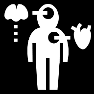 anatomy icon