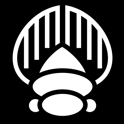 beetle-shell icon