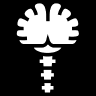 brain-stem icon