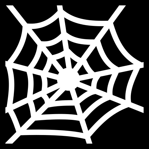 spider-web icon