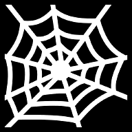 spider-web icon