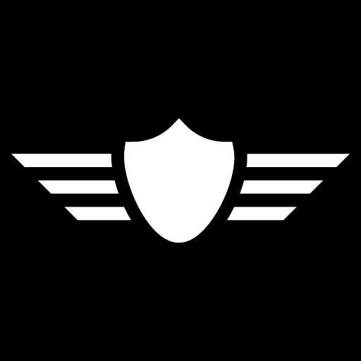 air-force icon