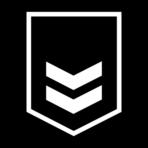 rank-2 icon